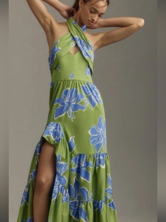Anthropologie Dresses & Skirts - Anthropologie Green Maxi Dress with Blue Floral Motif NWT 4P